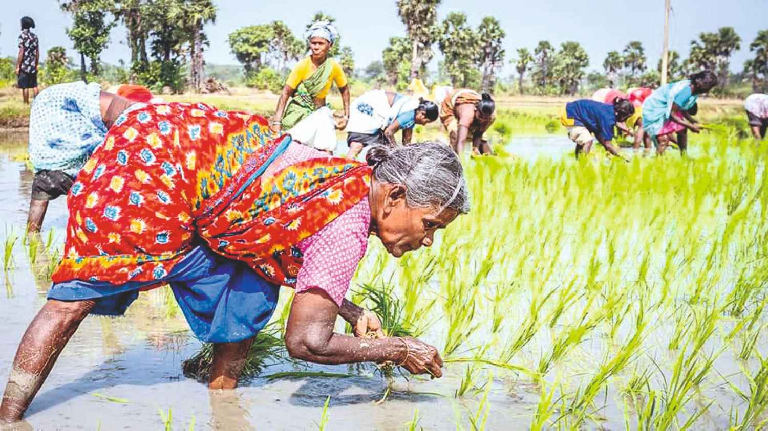 இன்றைய கிராமப்புற பெண்களின் நிலை..? களஆய்வு சொல்வதென்ன?